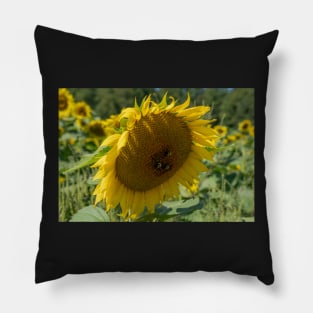 Bumble Bees At Work Pillow