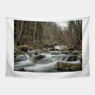 Mill Creek Falls In Winter Tapestry