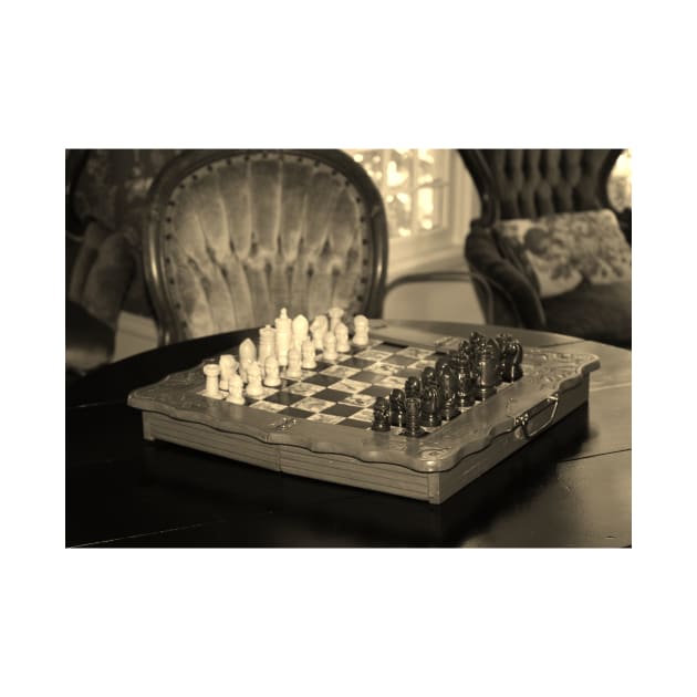 Chess Set by Cynthia48