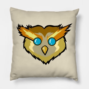 Owl Eyeglass Pillow