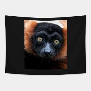 Red Ruffed Lemur Portrait Tapestry