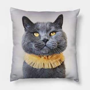 Morris The Cat - Feline Photo Pillow