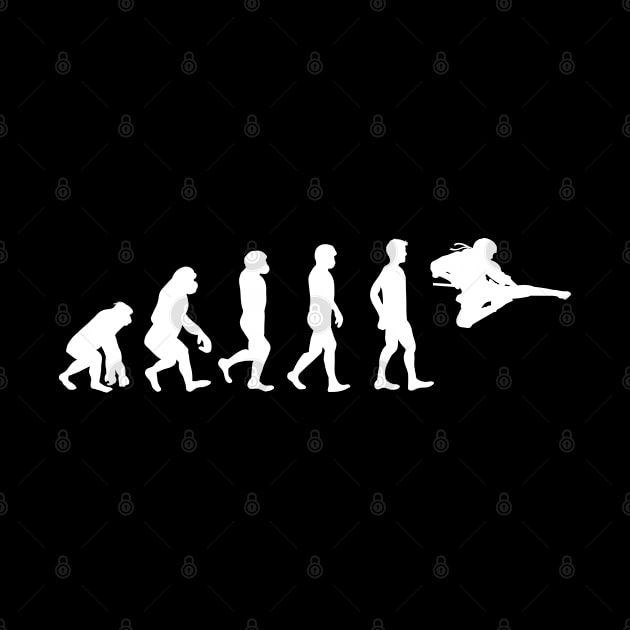 Kicking Ninja Evolution Martial Arts Addict by pixeptional