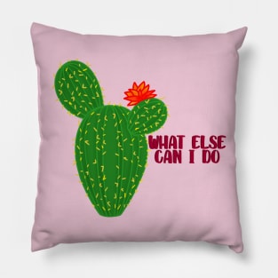 What else can I do? Pillow