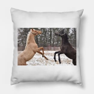 Thoroughbred foals synchronized rear Pillow