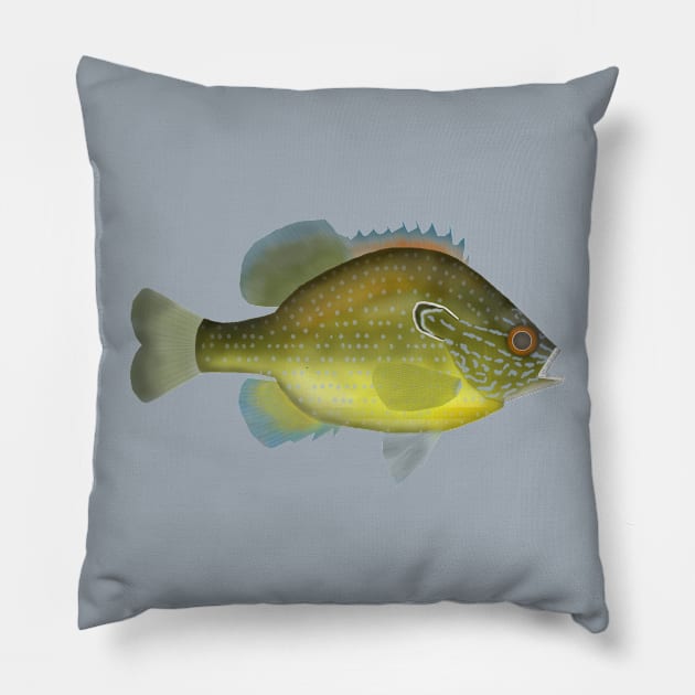 Dollar Sunfish Pillow by FishFolkArt