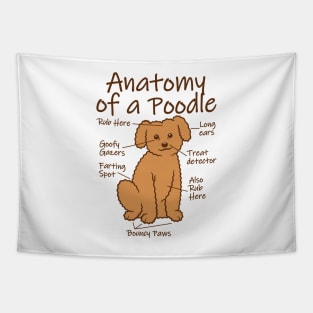 Funny Anatomy Of A Poodle Tapestry