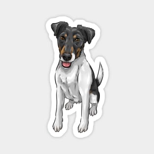 Smooth Fox Terrier Dog | Tricolor Magnet