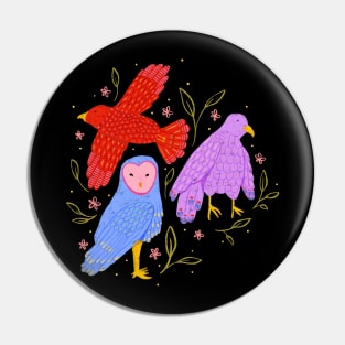 Birds of prey: Vibrant owls, kites, falcons, & hawks Pin