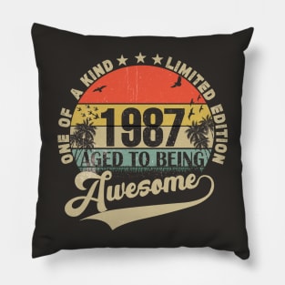 Vintage Year 1987 Pillow