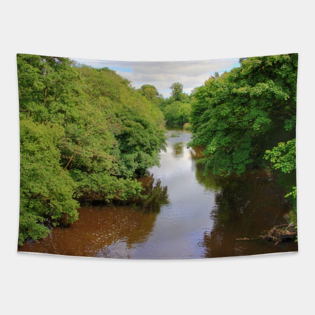 River Almond II Tapestry by tomg