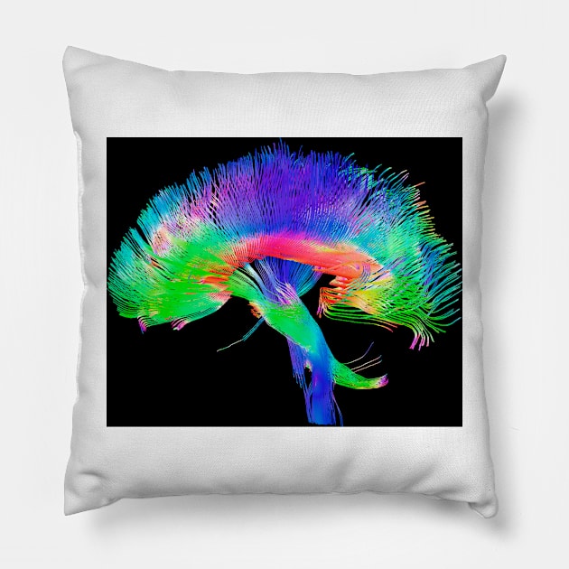 Brain pathways (P335/0069) Pillow by SciencePhoto