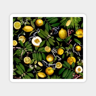 Lemon Tree (black) Magnet