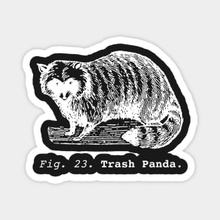 Trash Panda / Science Raccoon / white edition. Magnet