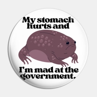 Mad At The Government Pin