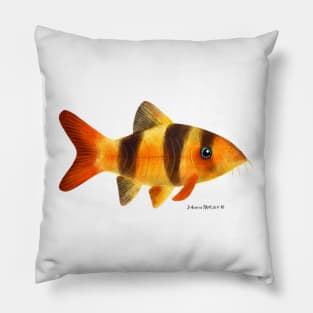 Clown Loach Fish Pillow