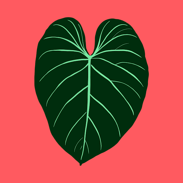 Philodendron gloriosum by thenordicjungle