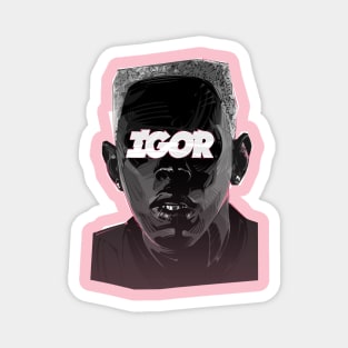 IGOR Magnet