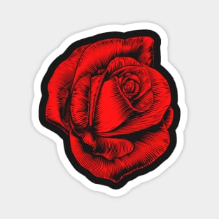 Rose Blossom Vintage Magnet