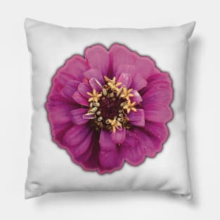 Magenta Flower and Yellow Pollen - Photograph Art -  Digital Image Cut-out into a fun graphic perfect for stickers, notebooks, greeting cards, pillows and more Pillow