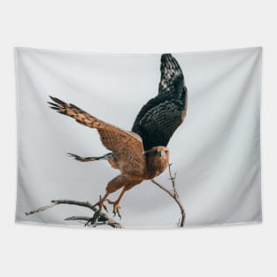 Hawk Tapestry