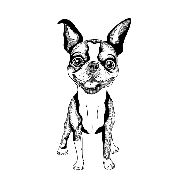 black and white Smiling dog Boston Terrier by kavalenkava