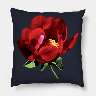 Peonies - One Red Peony Pillow