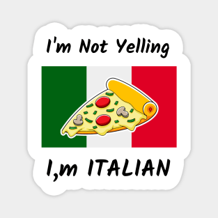 Funny Sayings, Italian Flag Italian Pride Magnet