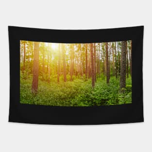 Green forest panorama and shining sun Tapestry