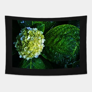 Wet Hydrangea Tapestry