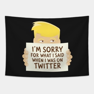 I'm sorry for what I said when I was on Twitter Tapestry