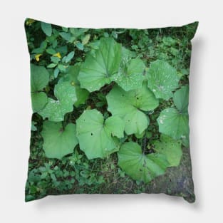 Hublattich On The Wayside Pillow