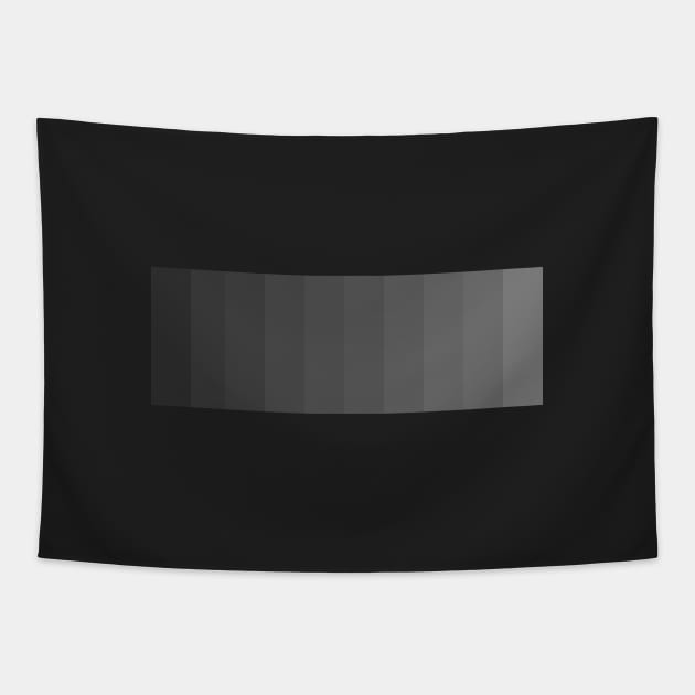 Minimalist Fading Charcoal Gradient Tapestry by nostrobe