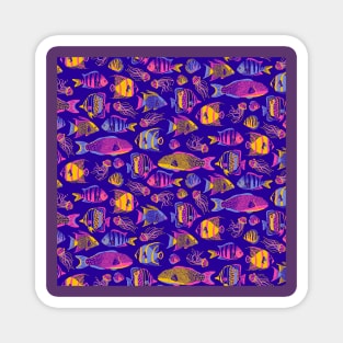 Colorful Funky Fishes Magnet