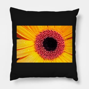 Yellow Gerbera with raindrops Pillow