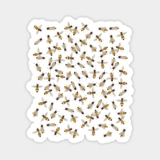 Bees Magnet