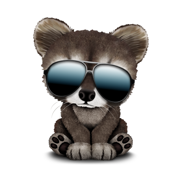 Raccoon Sunglasses Controversy