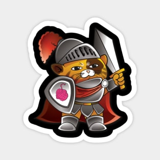 Sir Meowcelot - the Paladin Magnet