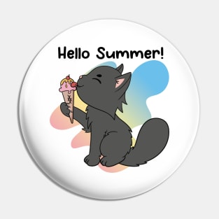 Hello Summer! Pin