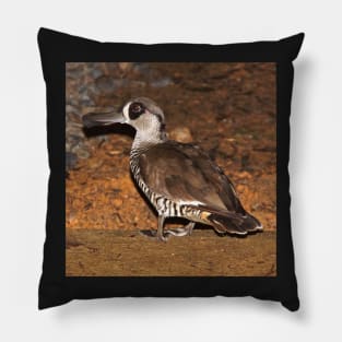 Pink Eared Duck - by South Australian artist Avril Thomas at Magpie Springs Pillow