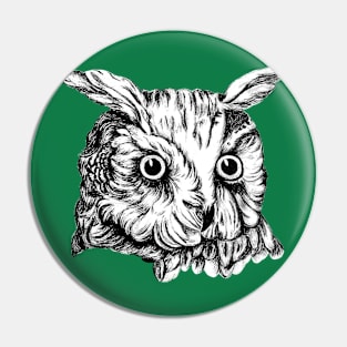 Sleepy Hollow Owl Head Pin