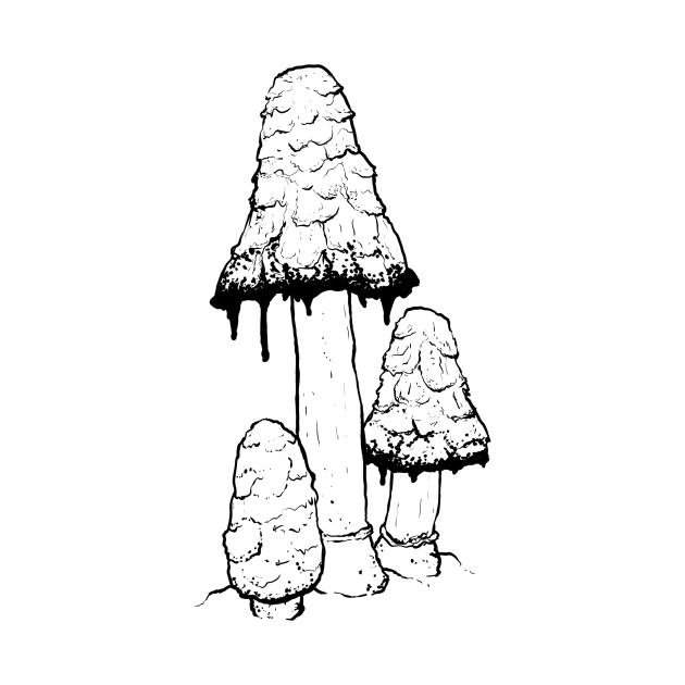 Ink Cap Mushrooms by mycologist