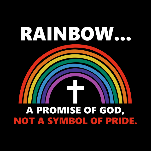 Rainbow A Promise Of God Not A Symnol Of Pride by Benko Clarence