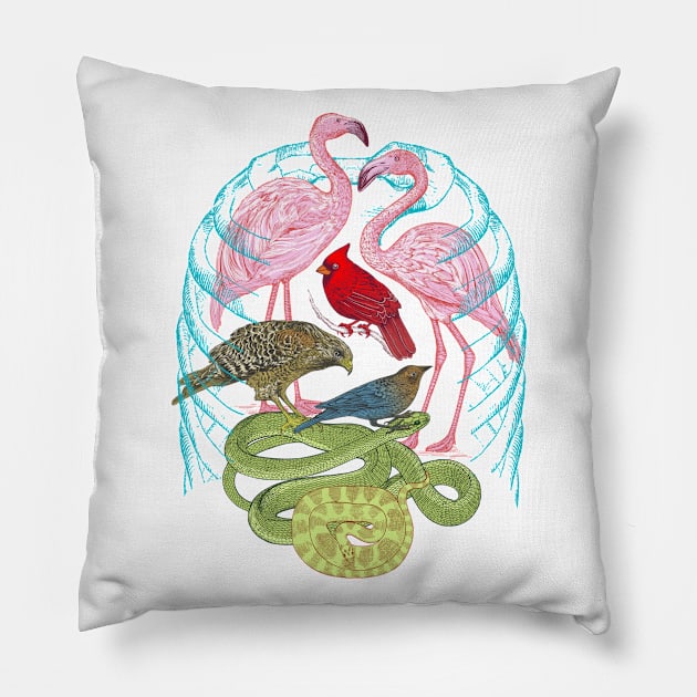 Wild Anatomy Pillow by rcaldwell