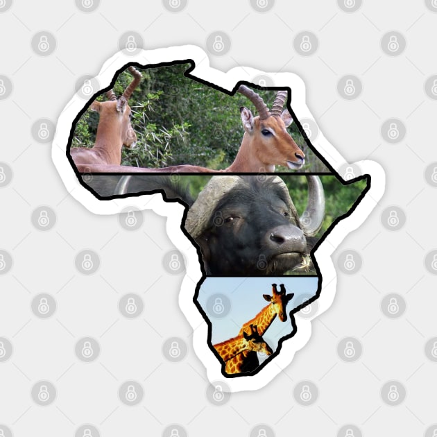 African Wildlife Continent Collage Magnet by PathblazerStudios
