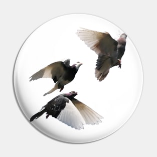 Rock Doves in Flight Pin