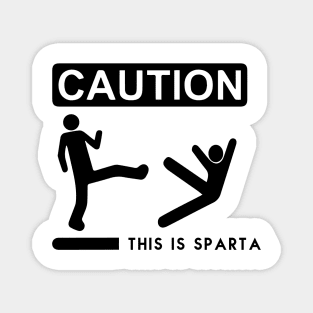 SPARTA Magnet