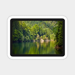 Lake and pine trees Magnet