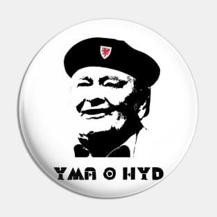 Yma O Hyd, Daffyd Iwan, Welsh folk hero Pin