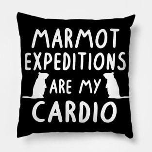 Marmot expedition cardio alps hiking mountains Pillow